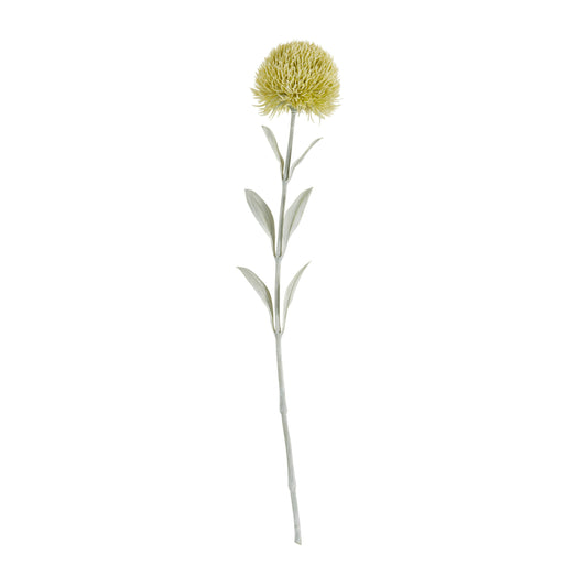 Carnation Stem Floral Accent: Green / 20"