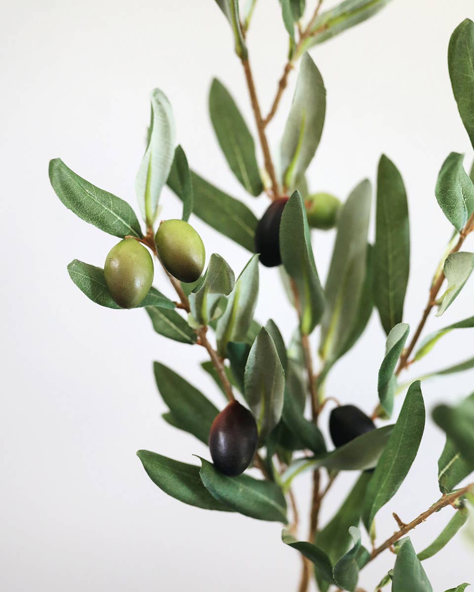 Prestige Botanicals - Olive Leaf Branch 33"