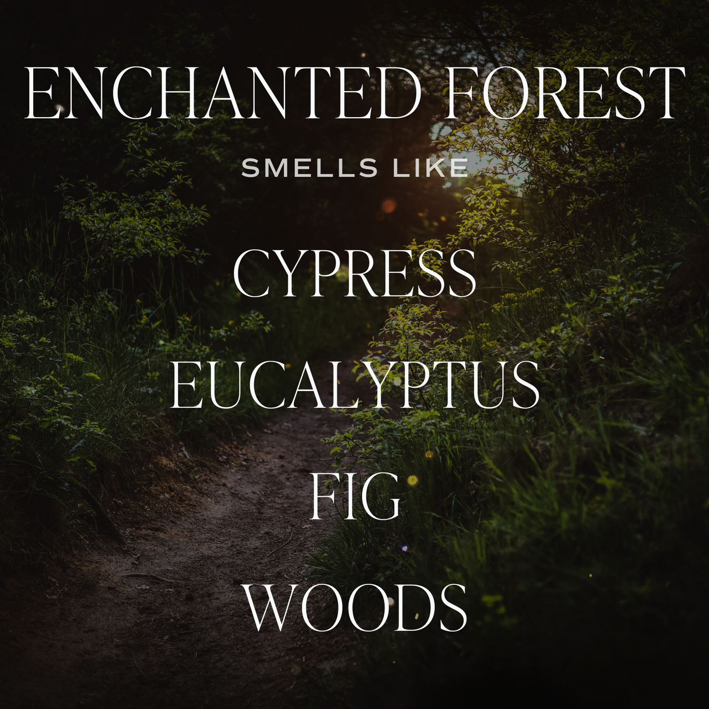 Candle: Enchanted Forest 15 oz Soy Candle, Matte Jar