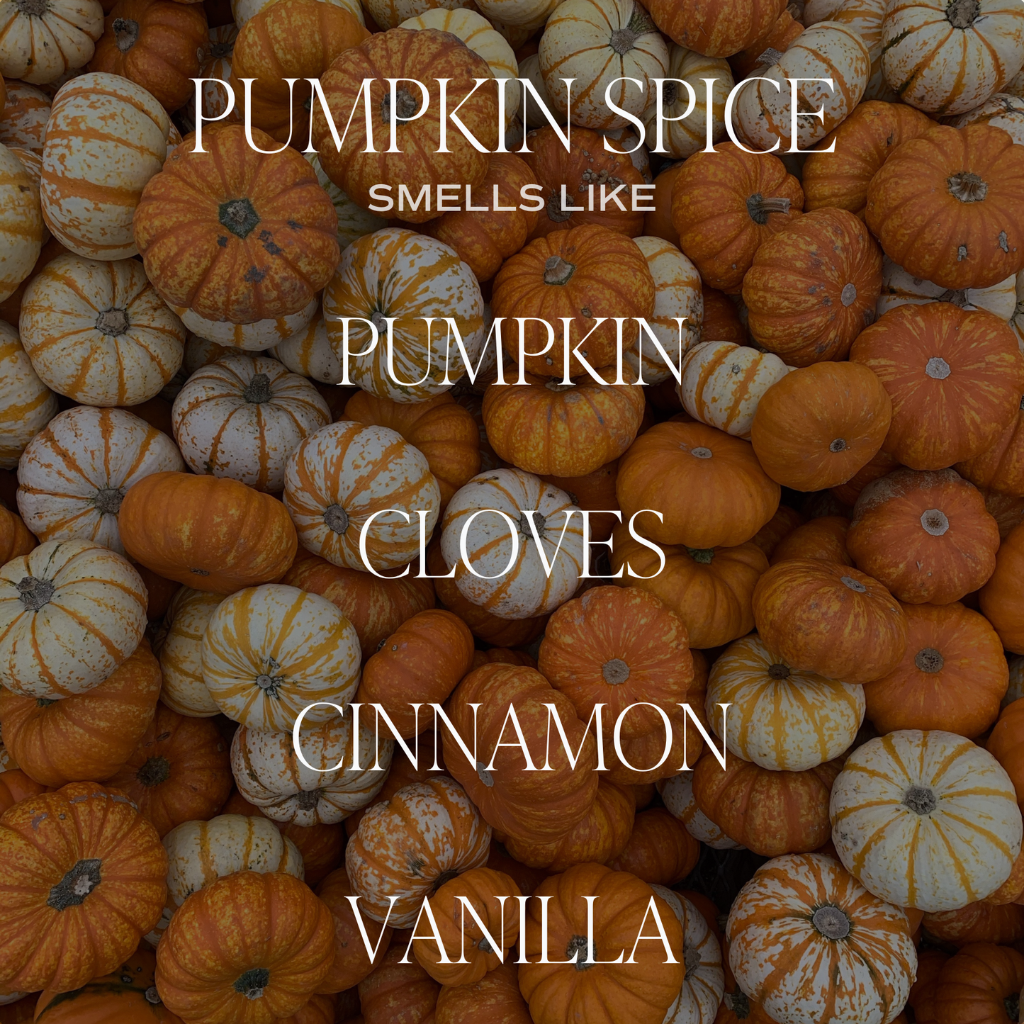 Candle: Pumpkin Spice 15 oz Soy Candle, Matte Jar