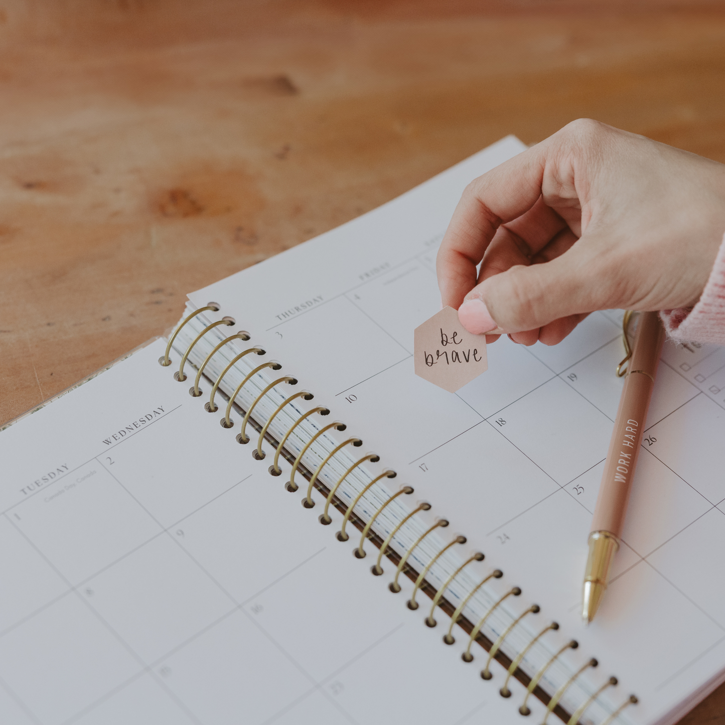 Planner: You Have A Purpose 2025-2026 18 Month Planner