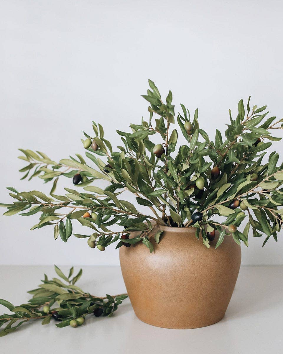 Prestige Botanicals - Olive Leaf Branch 33"