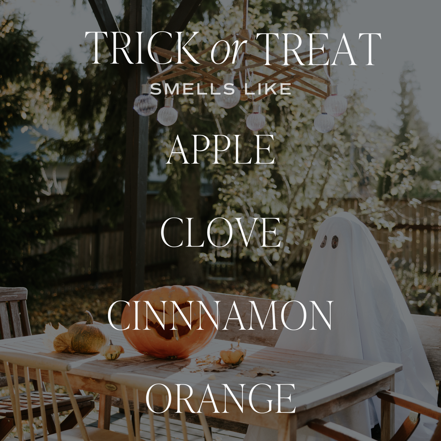 Candle: Trick or Treat 15 oz Soy Candle, Matte Jar