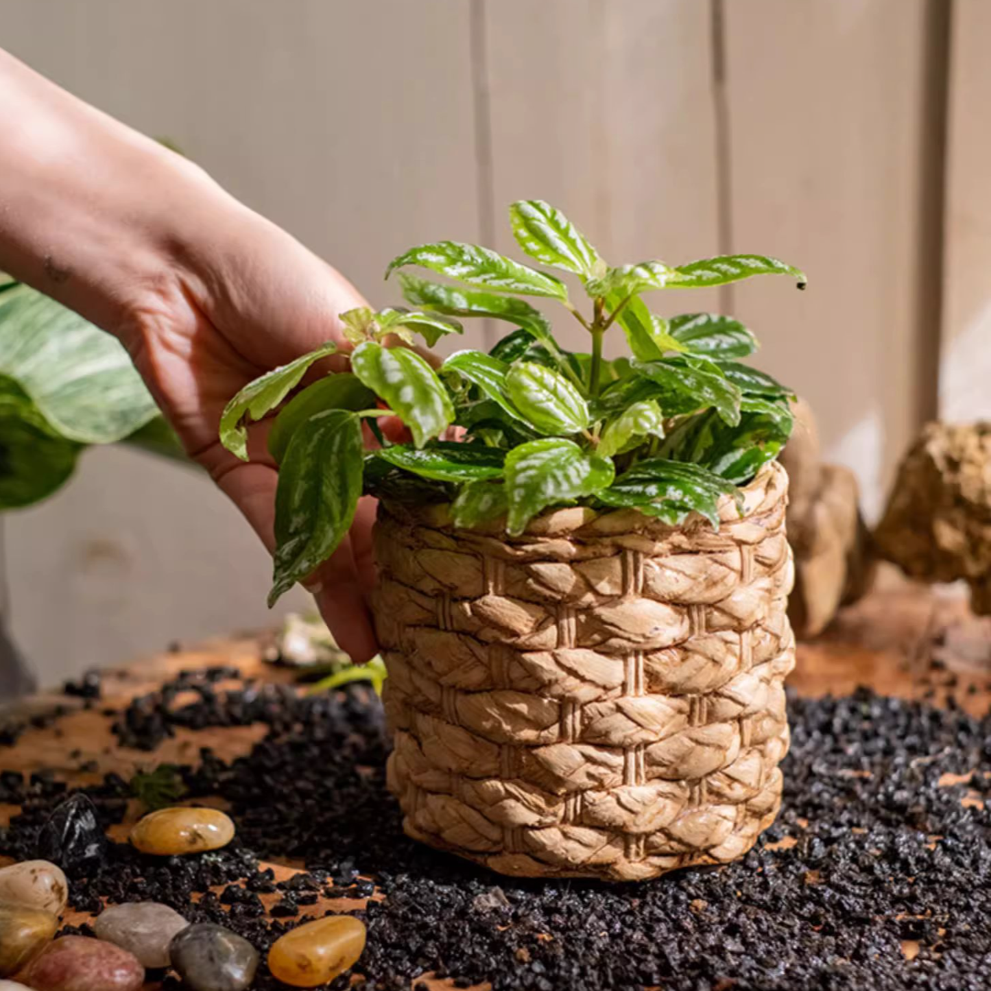 20% OFF Grass Woven Looking Cement Planter: Small
