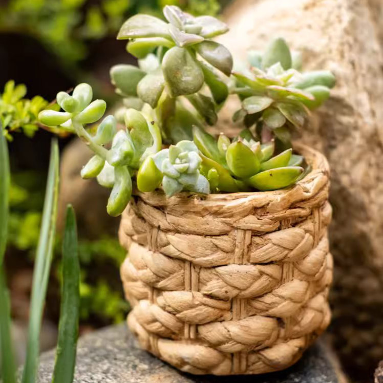 20% OFF Grass Woven Looking Cement Planter: Small