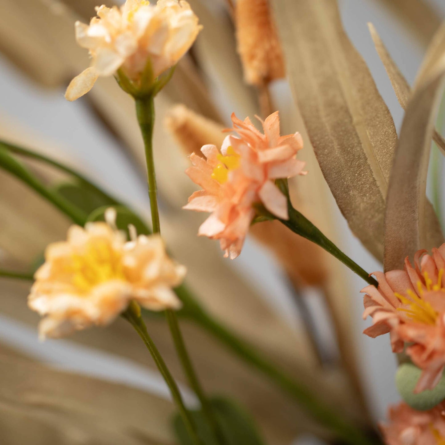 Grass And Bunnytail Wreath