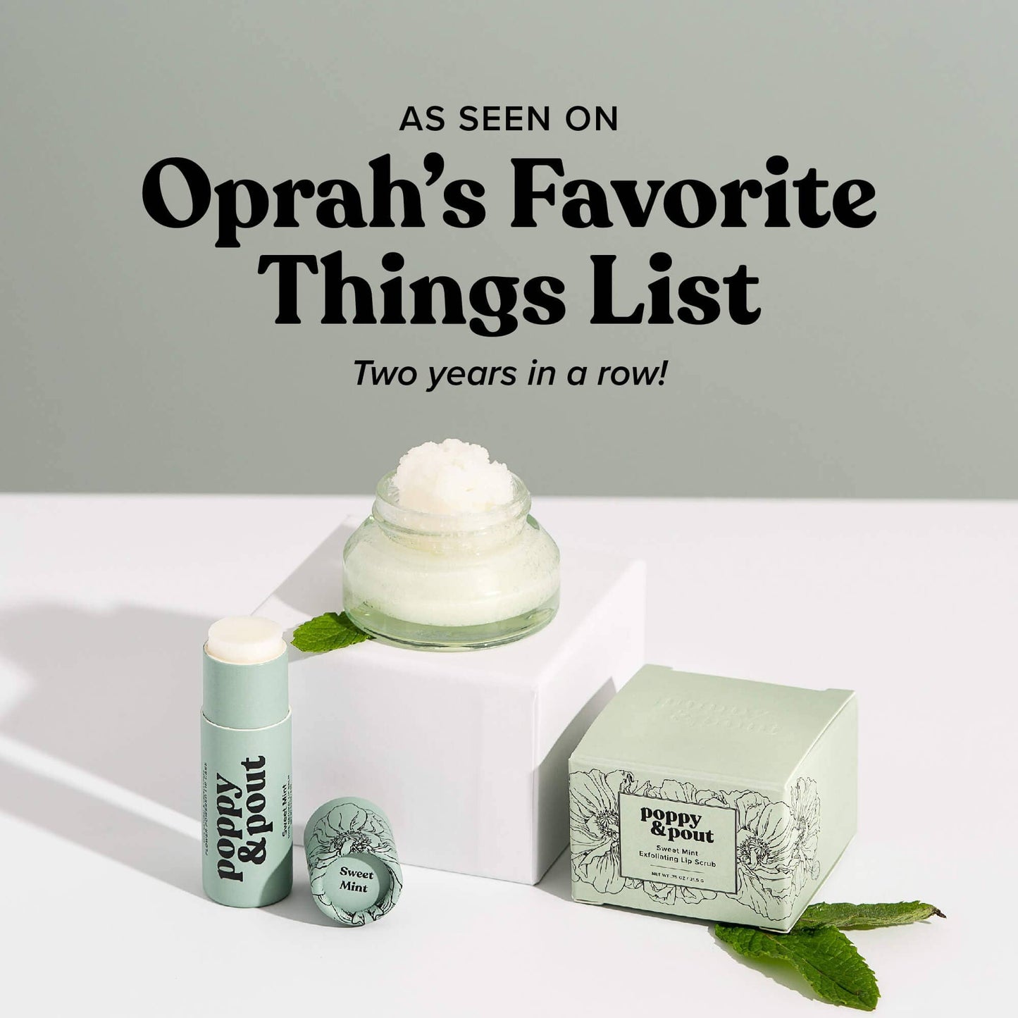 Lip Balm: Sweet Mint