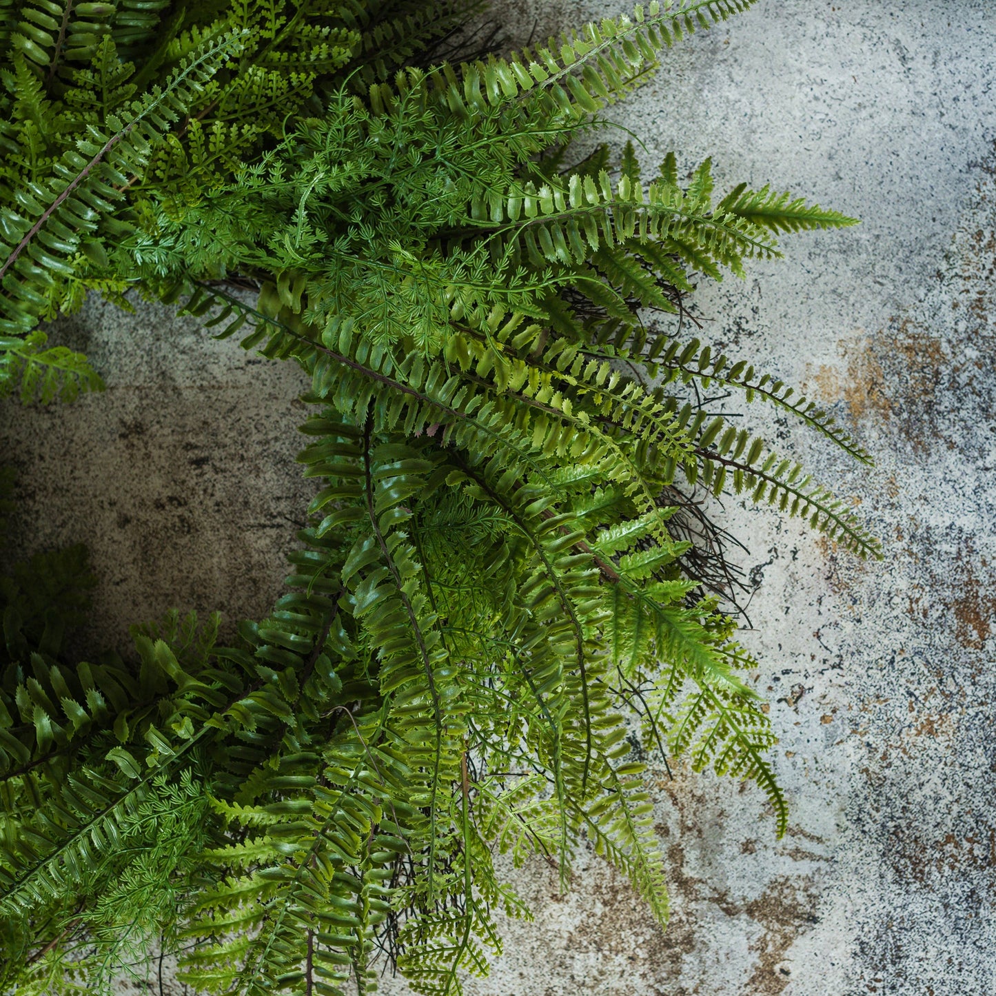 Lacey Fern Wreath: 26"