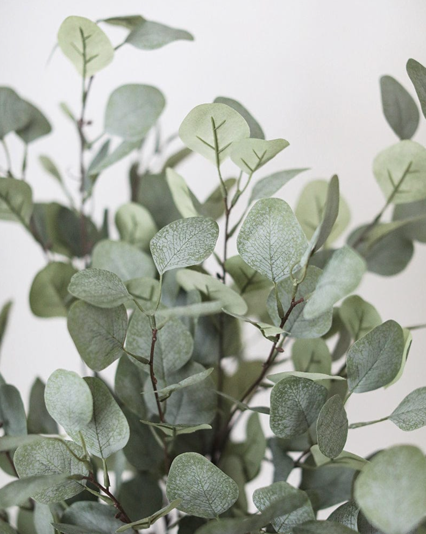 Prestige Botanicals - Faux Eucalyptus Leaves 35.5"