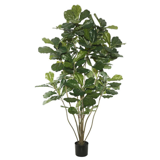 5' Potted Fiddle Tree W/168 Leaves-Green