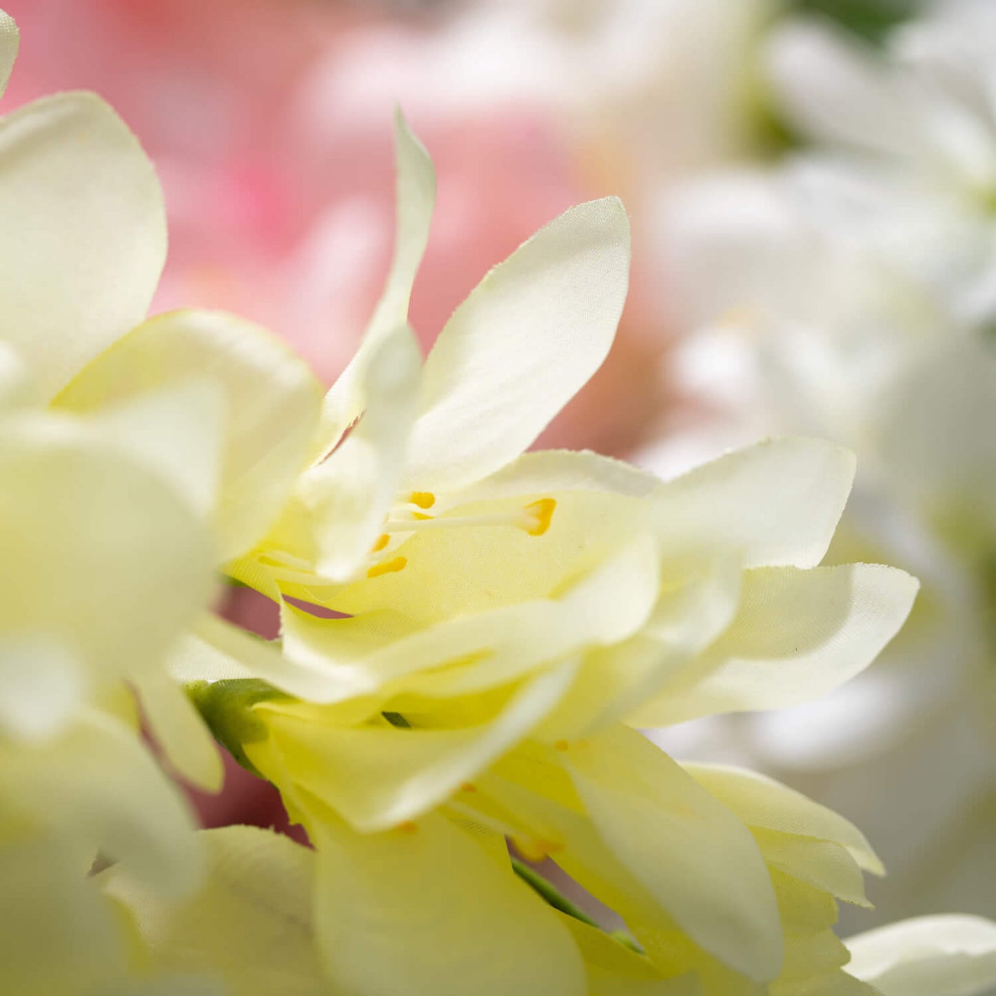 Pastel Freesia Bush: ASSORTED COLORS