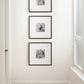 Kate and Laurel - Wilbanks Picture Frame Set: 18x18 matted to 8x8