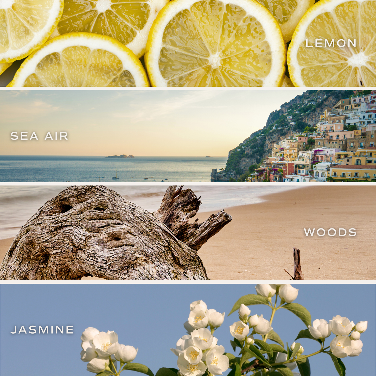 Candle: Coastal Lemon 12 oz