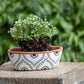 Jenica Oval Terracotta Planter Hand Painted Floral