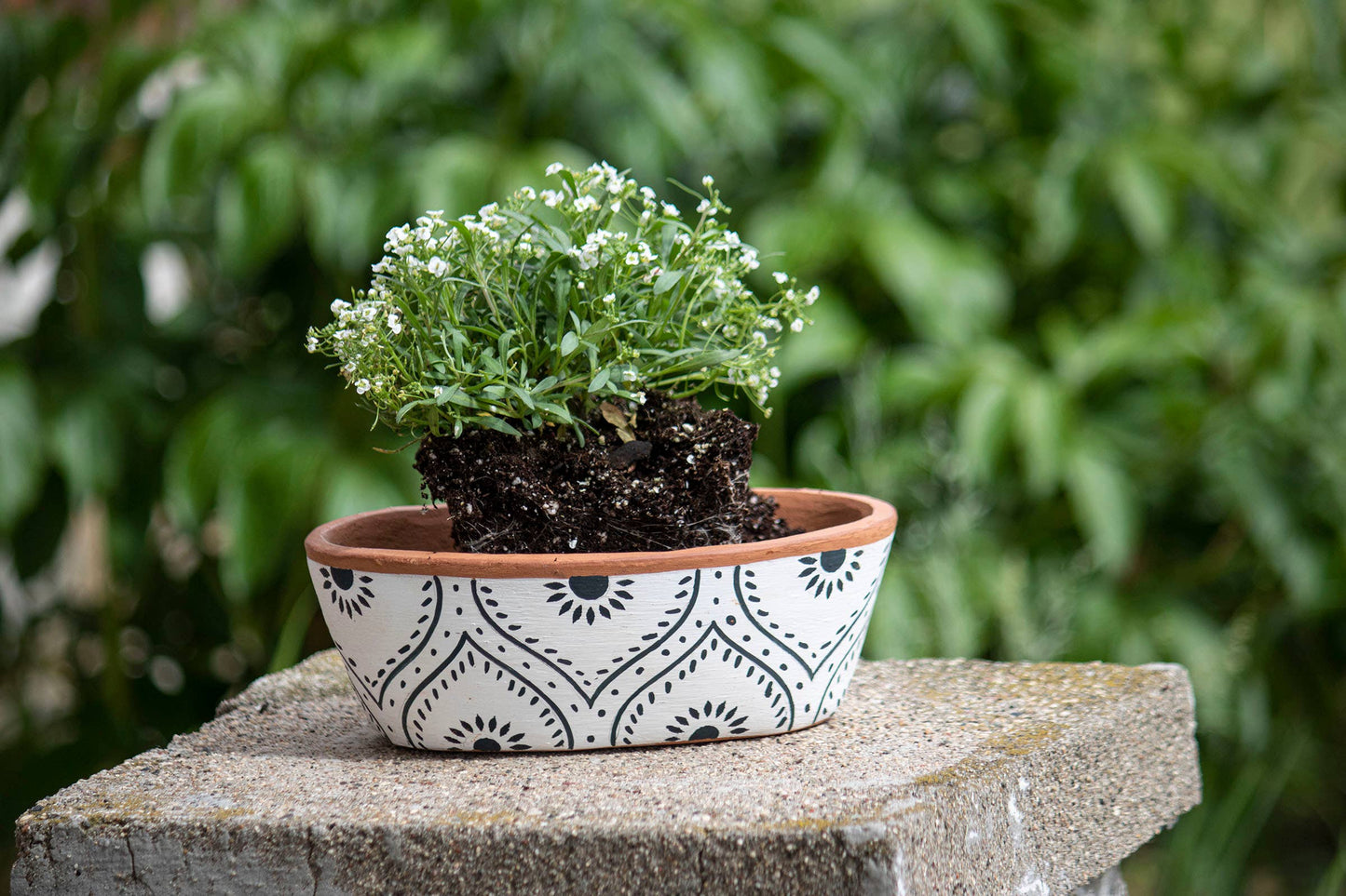 Jenica Oval Terracotta Planter Hand Painted Floral