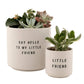 Santa Barbara Design Studio by Creative Brands - Ceramic Planting Pots - Set of 2: Material