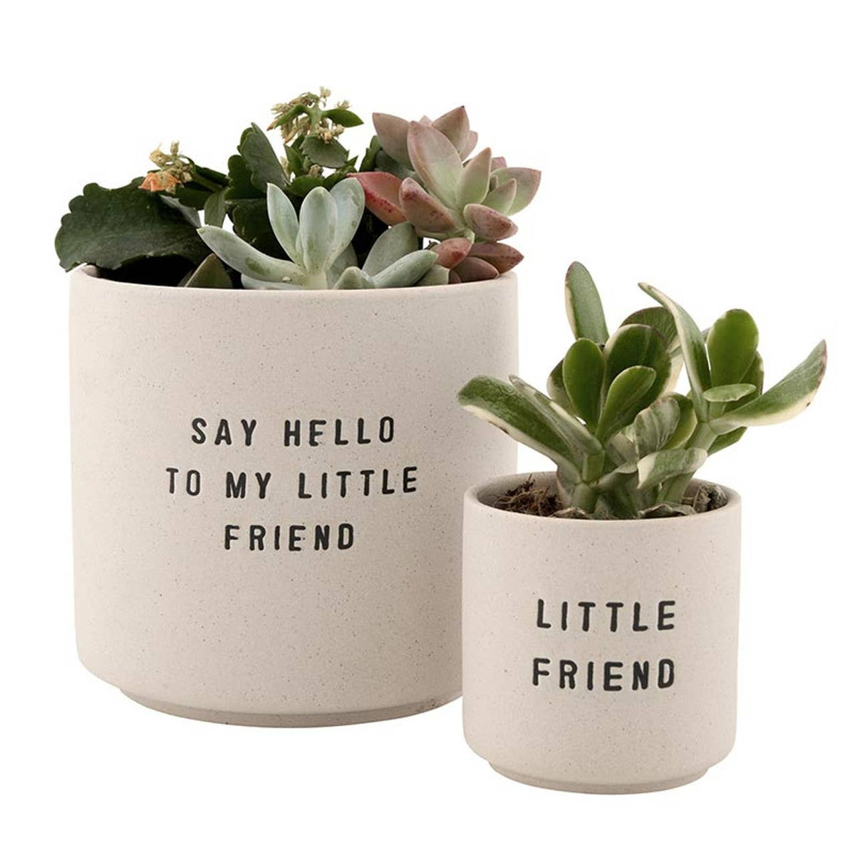 Santa Barbara Design Studio by Creative Brands - Ceramic Planting Pots - Set of 2: Material