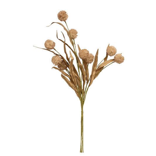 Col House Designs - Fall Grass & Billy Ball Spray, Natural