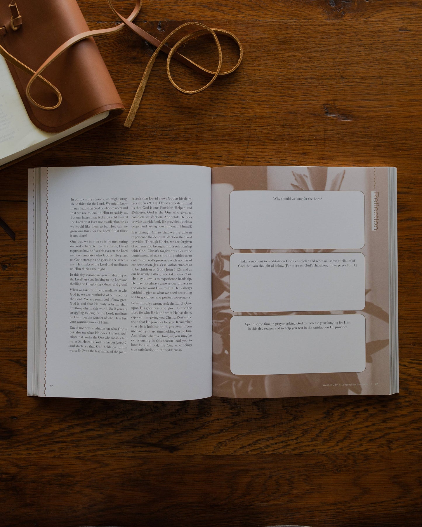 The Daily Grace Co - Rivers of Renewal Bible Study