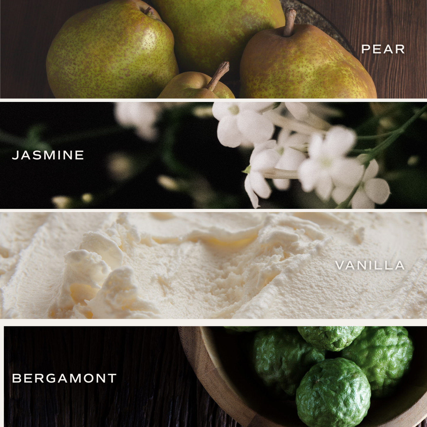 Candle: Cashmere and Vanilla 12 oz