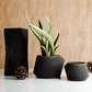 Modern Indoor Planter | Midnight Black / 6 Inches