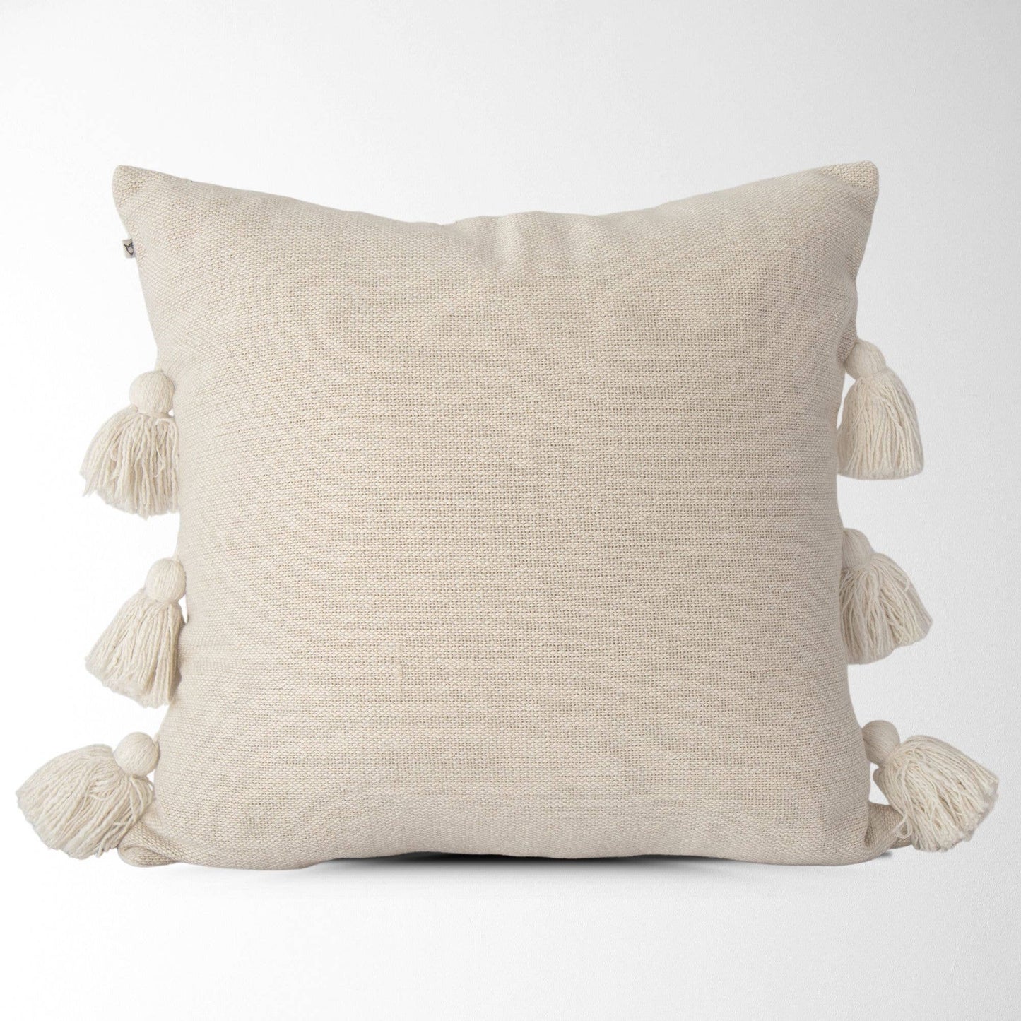 Coraline Textured Pillow Cover with Side Tassels 20x20