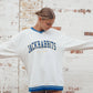 SD State Allen Chenille Varsity V-neck: WHITEROYALBLUE