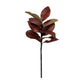 27" Real touch Magnolia Leaf Spray: Natural Green