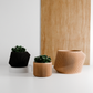 Modern Indoor Planter | Midnight Black / 6 Inches