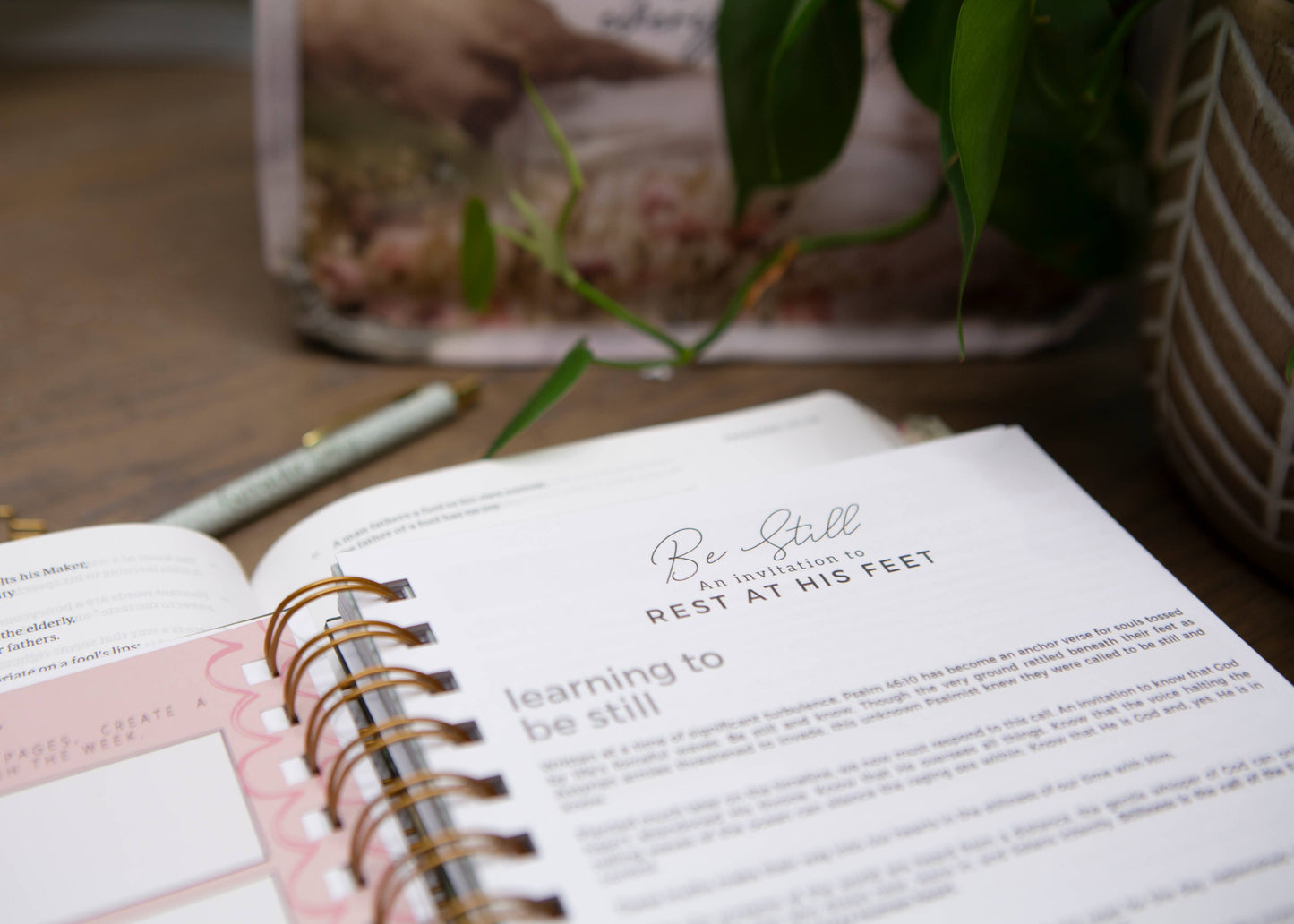 Chosen & Cherished - It Is Well Womens Prayer Journal | Guided Prayer Journal