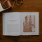 The Daily Grace Co - Rivers of Renewal Bible Study