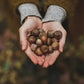 The Art of Slow Living: Coffee Table Book