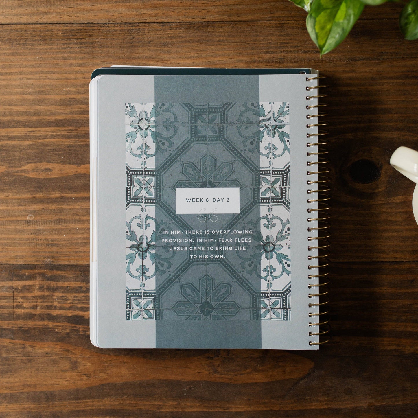 The Daily Grace Co - Come and See Bible Study