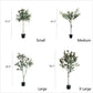 Artificial Olive Tree: Large