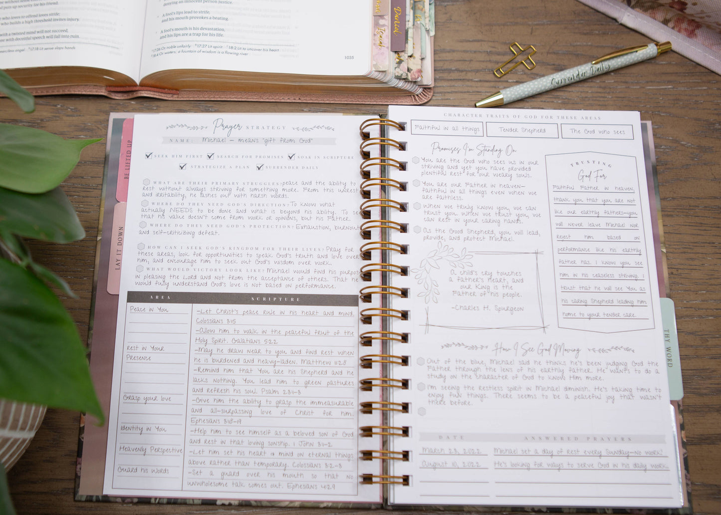 Chosen & Cherished - It Is Well Womens Prayer Journal | Guided Prayer Journal