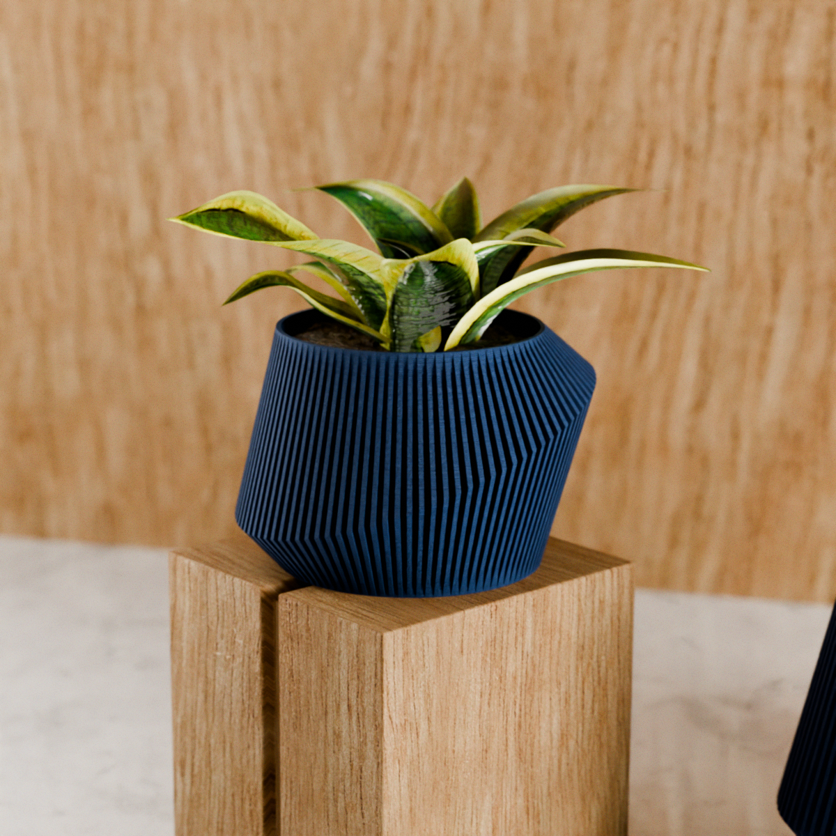 Modern Indoor Planter | Midnight Black / 6 Inches