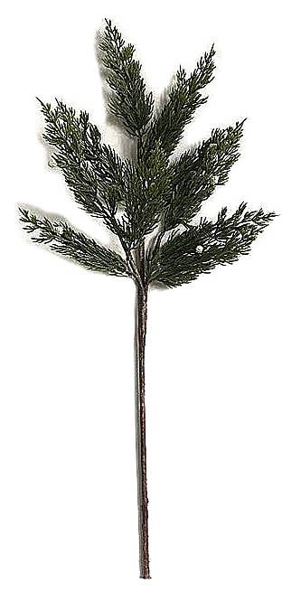 Blossom Bucket & Crossroads Home - Cypress Branch 29"