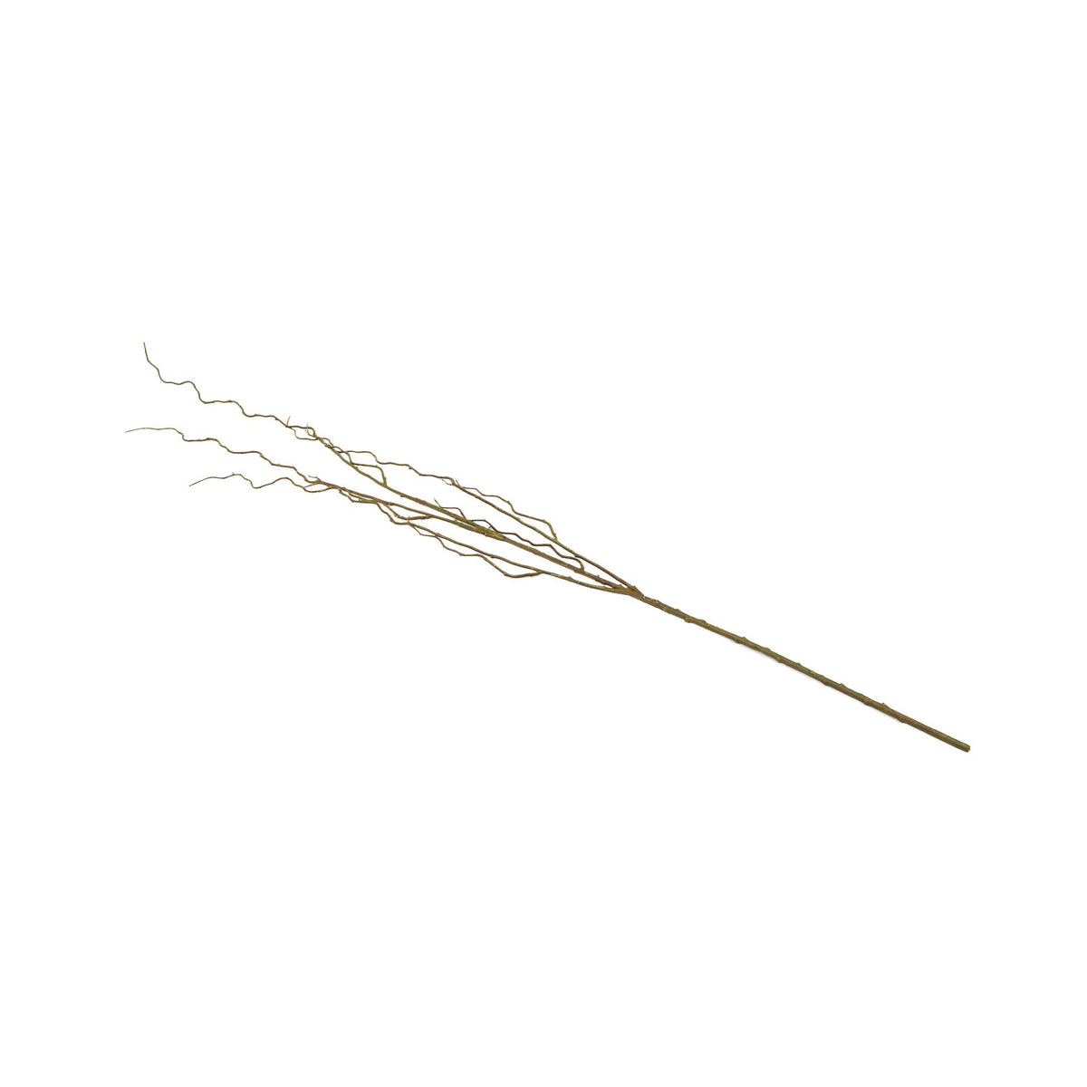 Mills Floral Company - Curly Willow Branch - 51 Inch