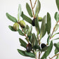 Prestige Botanicals - Olive Leaf Branch 33"