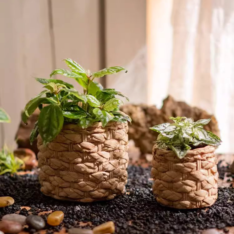 Grass Woven Looking Cement Planter: Small