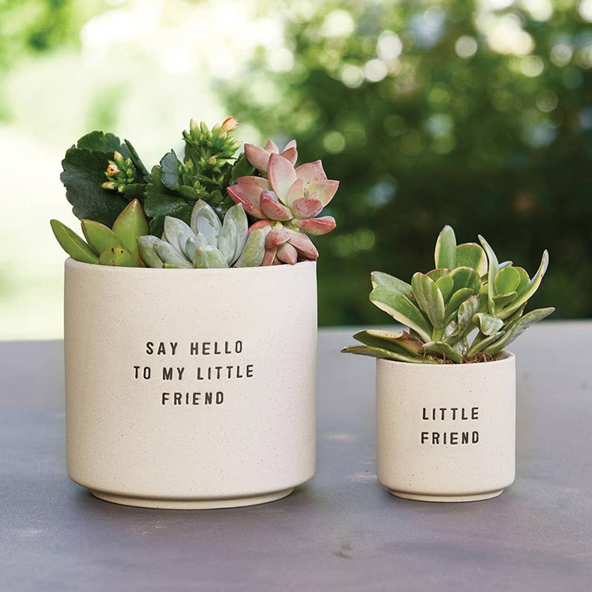 Santa Barbara Design Studio by Creative Brands - Ceramic Planting Pots - Set of 2: Material