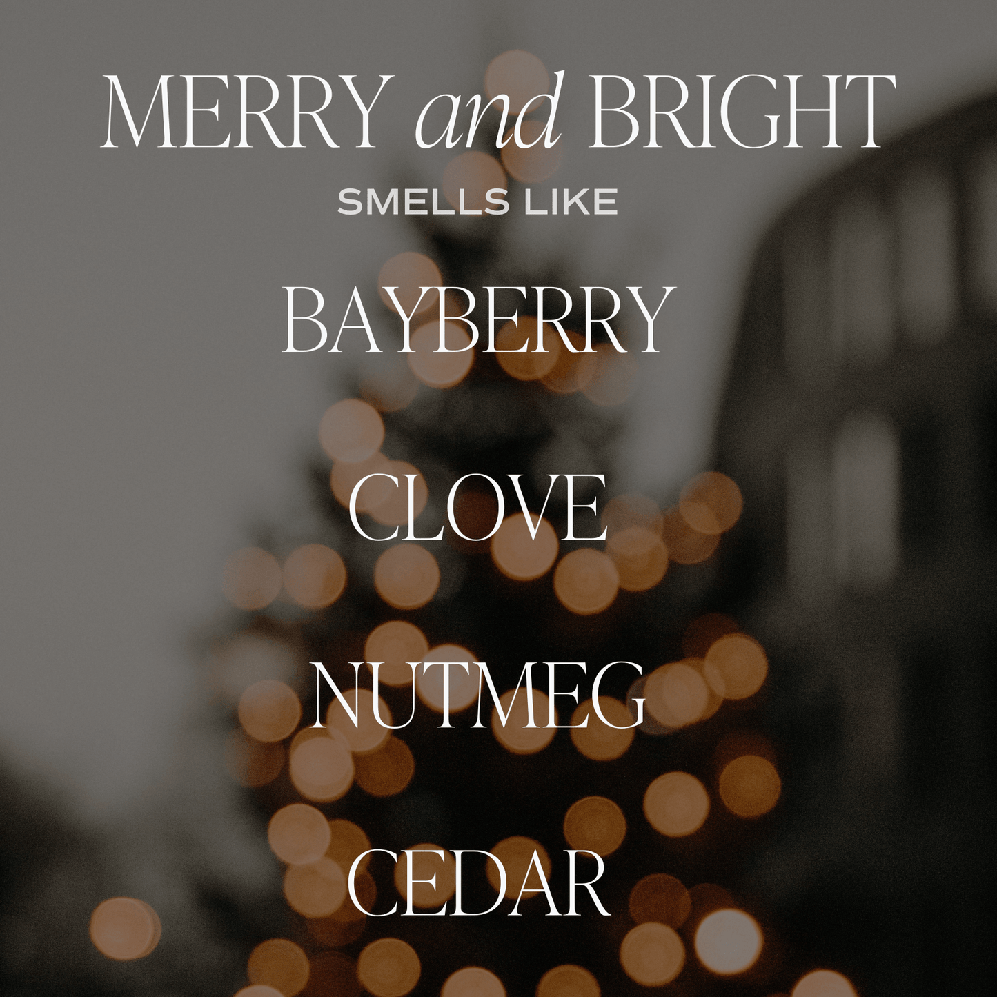 Candle: Merry and Bright 15 oz Soy Candle, Matte