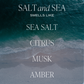 Sweet Water Decor - Salt and Sea 12 oz Soy Candle - Home Decor and Gifts