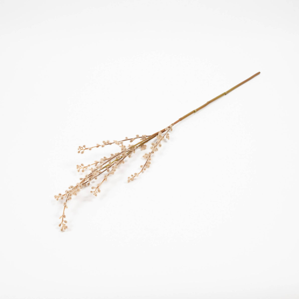 Mills Floral Company - Pussy Willow Branch - 32 Inch