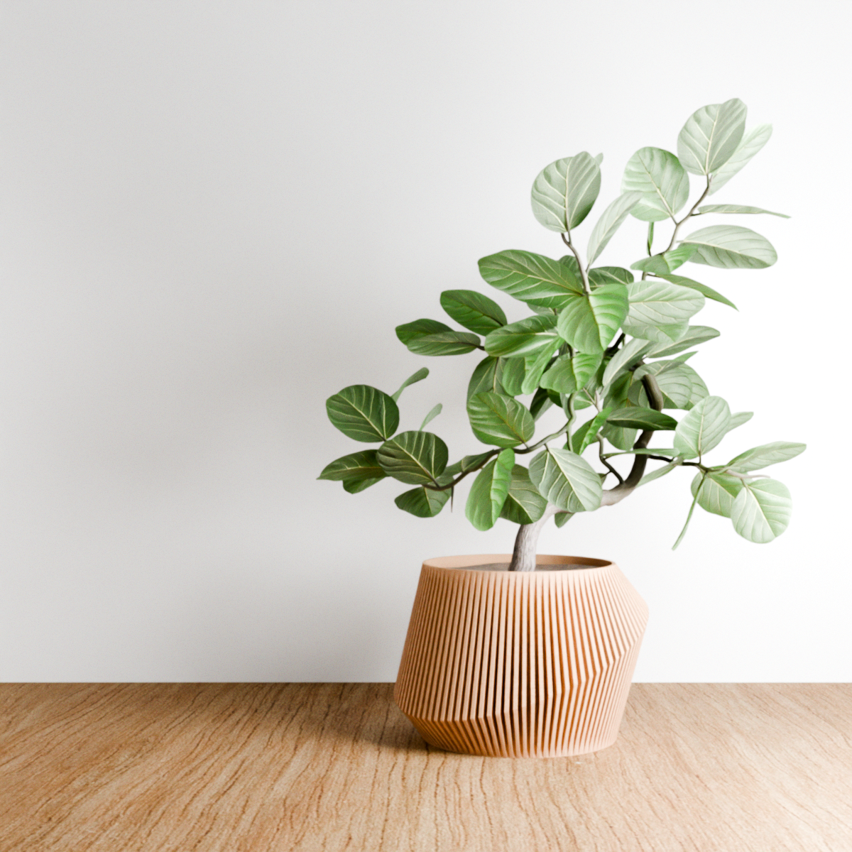Modern Indoor Planter | Midnight Black / 6 Inches