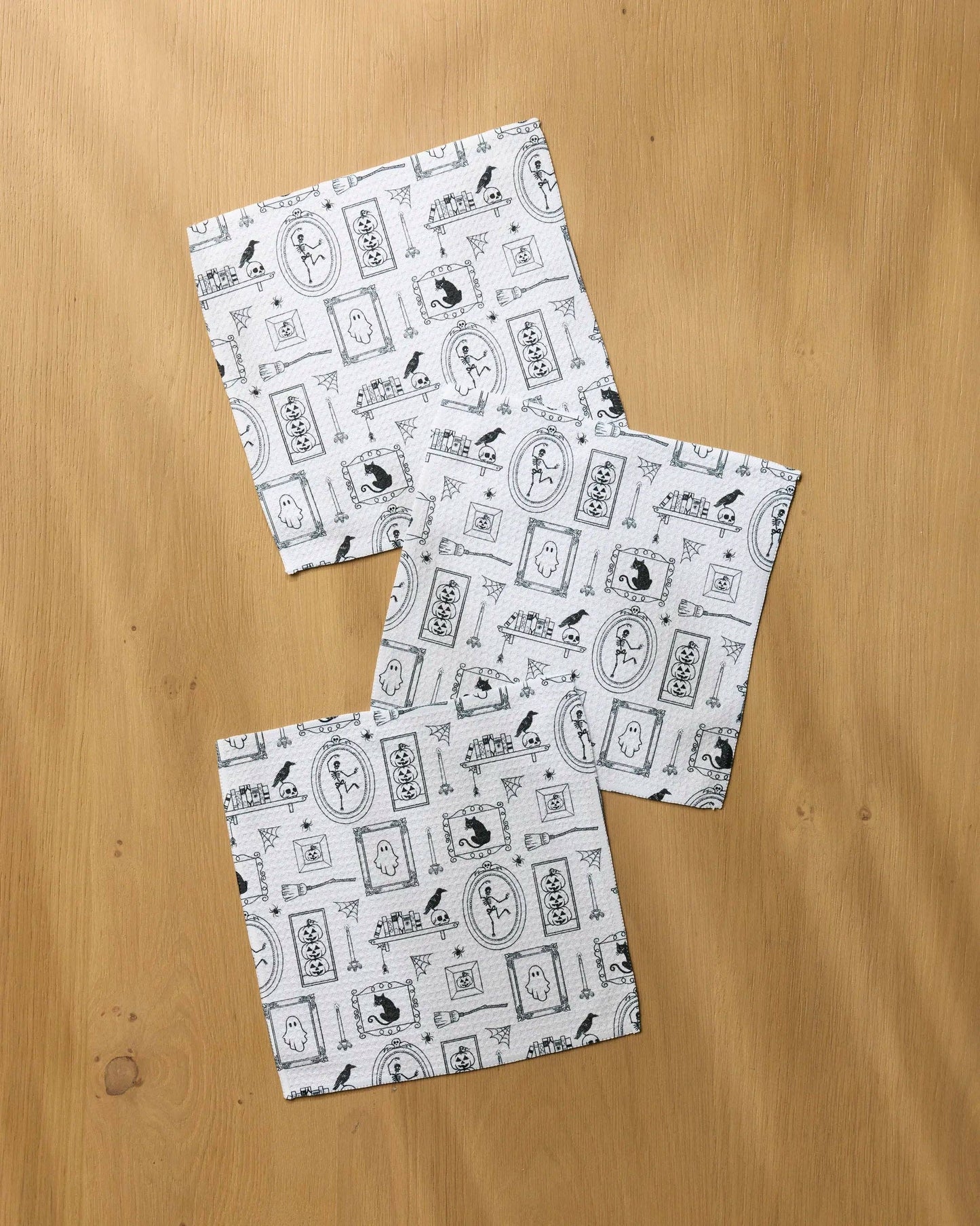 Haunted Gallery Dishcloth Set