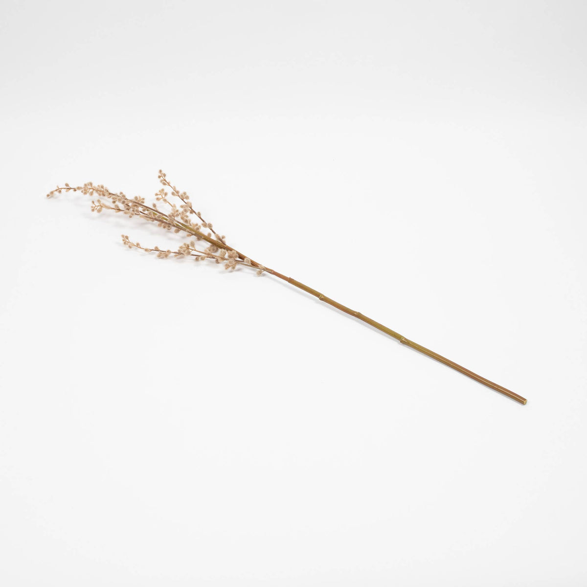 Mills Floral Company - Pussy Willow Branch - 32 Inch
