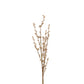 Mills Floral Company - Pussy Willow Branch - 32 Inch