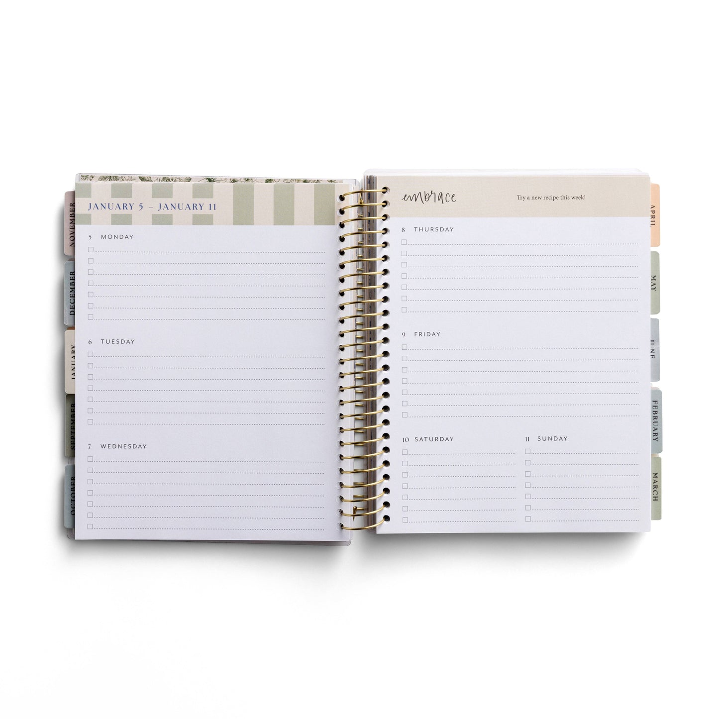 Planner: You Have A Purpose 2025-2026 18 Month Planner