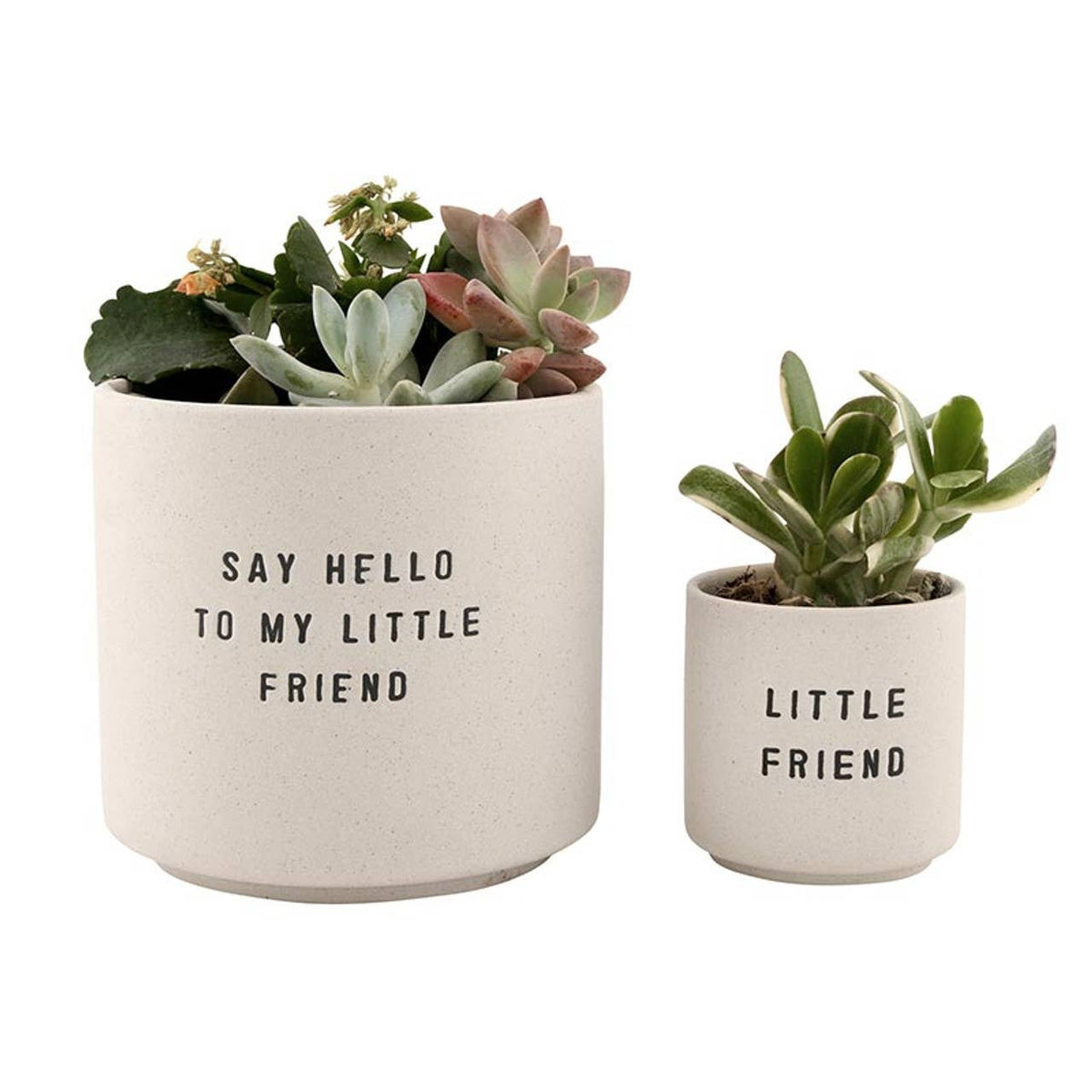 Santa Barbara Design Studio by Creative Brands - Ceramic Planting Pots - Set of 2: Material